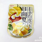 Thumbnail of post image 104