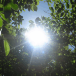 Thumbnail of post image 006